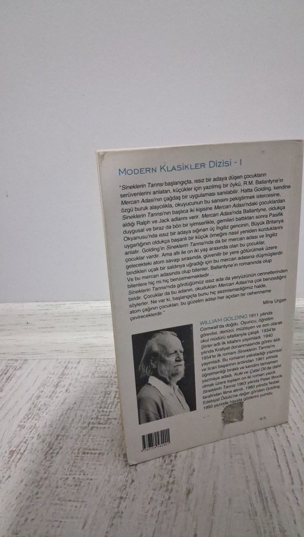 Sineklerin Tanrısı - William Golding - Görsel 3