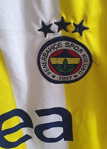 Fenerbahçe FENERBAHÇE FORMASI