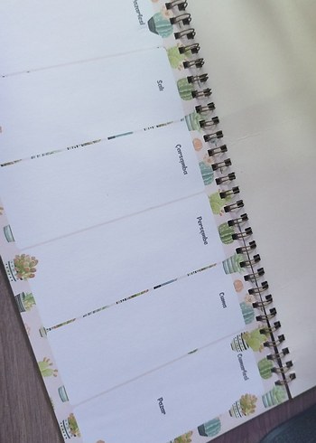 Pastel Yeşil Haftalık Planlayıcı Defter