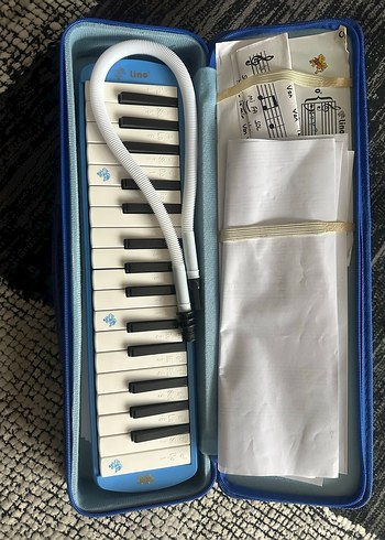Mavi Parlak Yoga Bloğu Lino 32K Melodica - Görsel 3