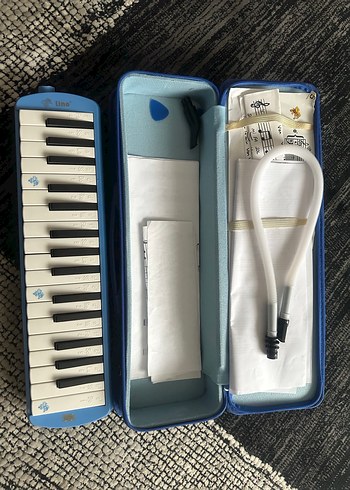 Mavi Parlak Yoga Bloğu Lino 32K Melodica - Görsel 4