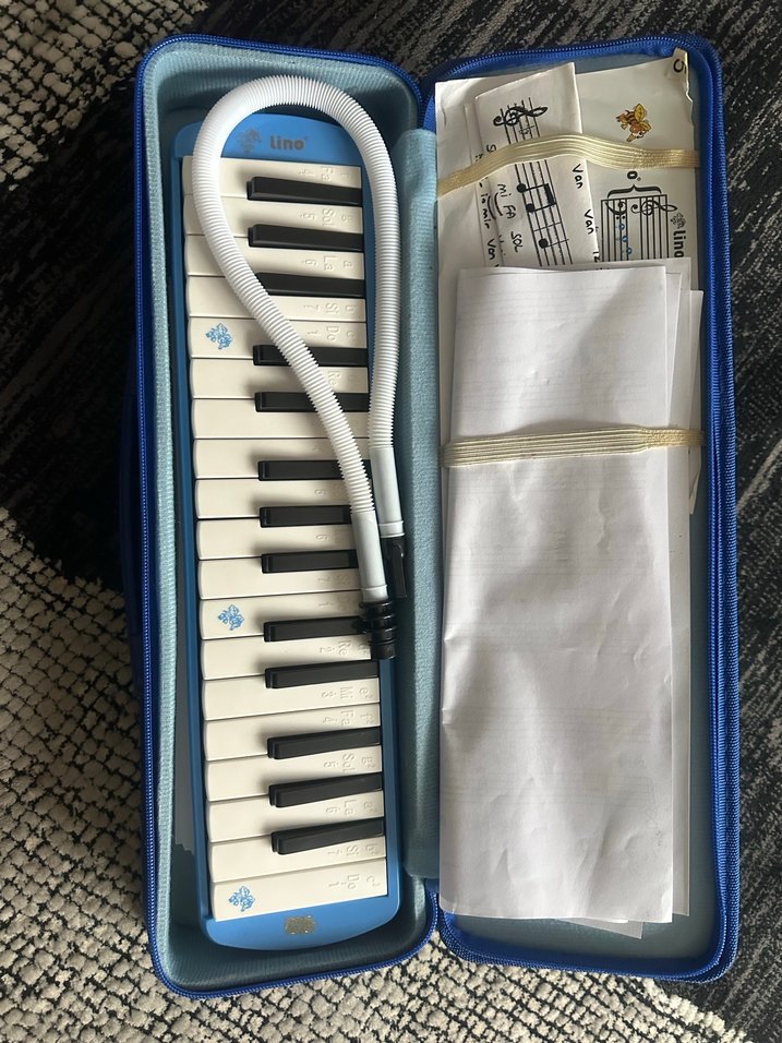 Mavi Parlak Yoga Bloğu Lino 32K Melodica - Görsel 3