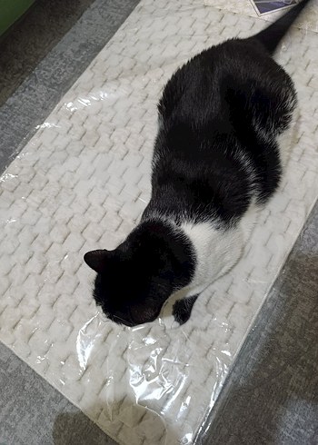 Beyaz Gri Baskılı klozet tk. - Görsel 3