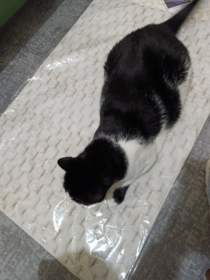 Beyaz Gri Baskılı klozet tk. - Görsel 3