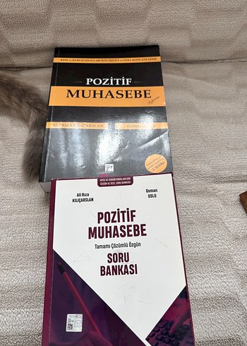 Pozitif Muhasebe Soru Bankası Osman Uslu