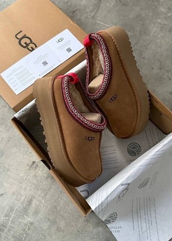 UGG Renkli Nakışlı Kadın Süet Dolgu Topuk Terlik