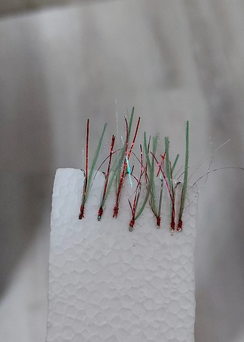 10'lu çimen yeşili çapari 10 adet - Görsel 8