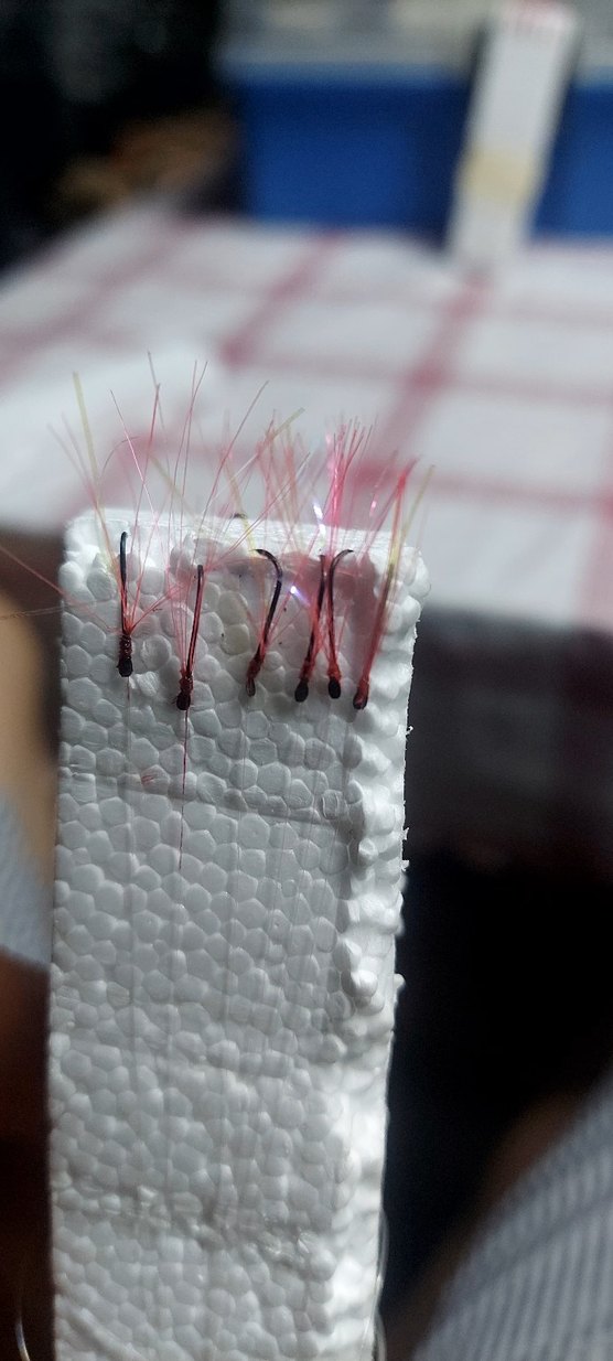 10 lu 5 adet kırmızı çapari - Görsel 3