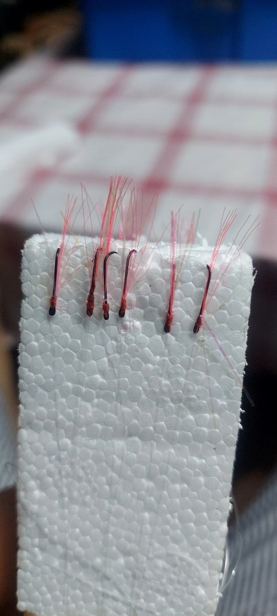 10 lu 5 adet kırmızı çapari - Görsel 2