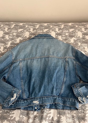 Stradıvarıus - Görsel 6