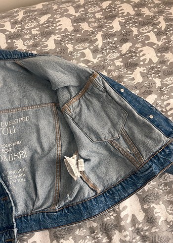 Stradıvarıus - Görsel 4