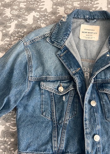 Stradıvarıus - Görsel 5