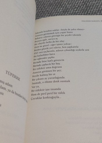 Yerçekimli Karanfil - Edip Cansever - Görsel 5