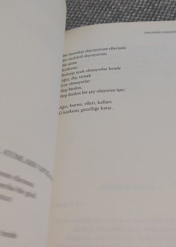 Yerçekimli Karanfil - Edip Cansever - Görsel 4