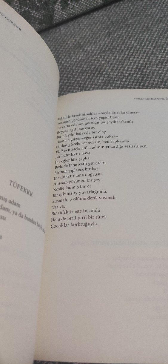 Yerçekimli Karanfil - Edip Cansever - Görsel 5