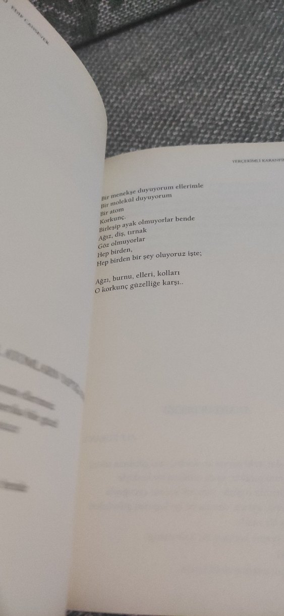 Yerçekimli Karanfil - Edip Cansever - Görsel 4