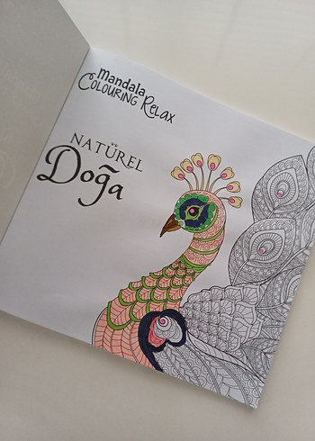 Doğa Temalı Mandala Boyama Kitabı - Görsel 2