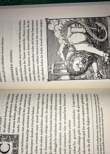 Harry Potter Fantastik Canavarlar 1.Baskı - Newt Scamander - Görsel 4