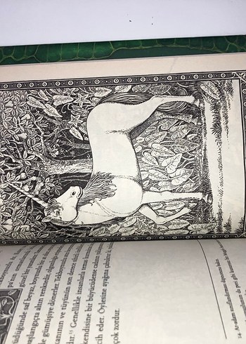 Harry Potter Fantastik Canavarlar 1.Baskı - Newt Scamander - Görsel 3