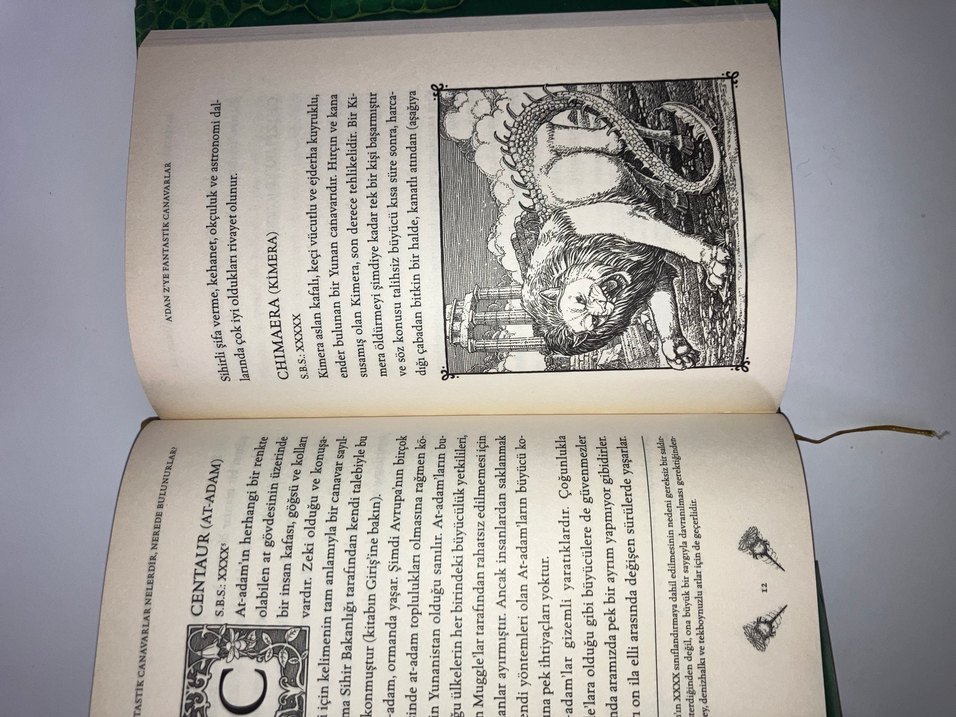 Harry Potter Fantastik Canavarlar 1.Baskı - Newt Scamander - Görsel 4