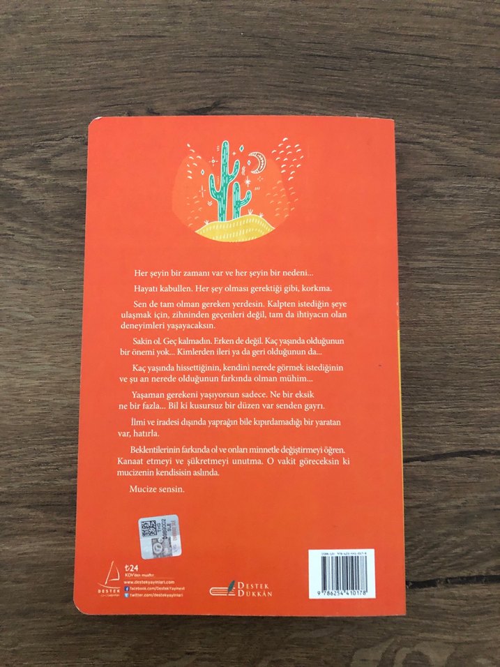 Pes Etme Mucizeler Yolda - Kinsun - Görsel 2