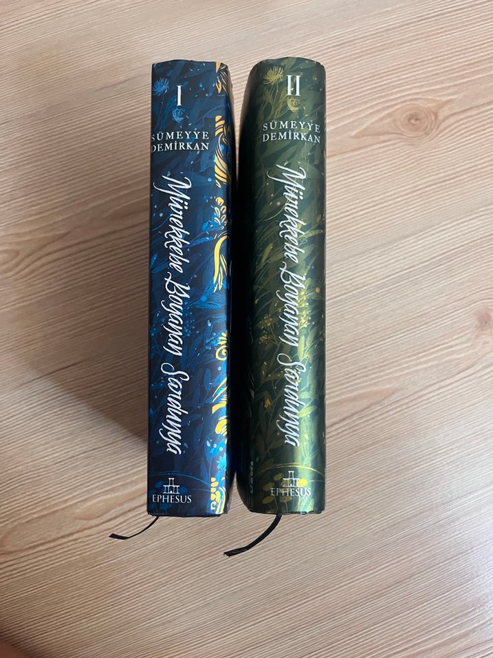 Mürekkebe Boyanan Sandunya - İki Kitap - Görsel 2