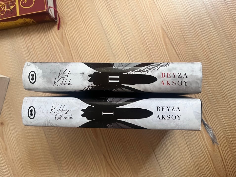 Kül Kelebek ve Kelebeği Öldürmek Roman Seti - Görsel 2