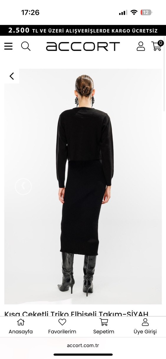 Accort Siyah Pilili Uzun V Yaka Kadın Elbise ve kısa hırka - Görsel 2