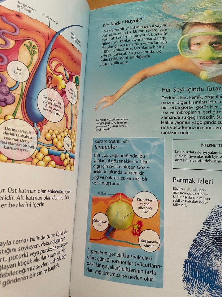 Vücudumuz - Çocuklar ve Gençler için Sağlık Kitabı - Görsel 2