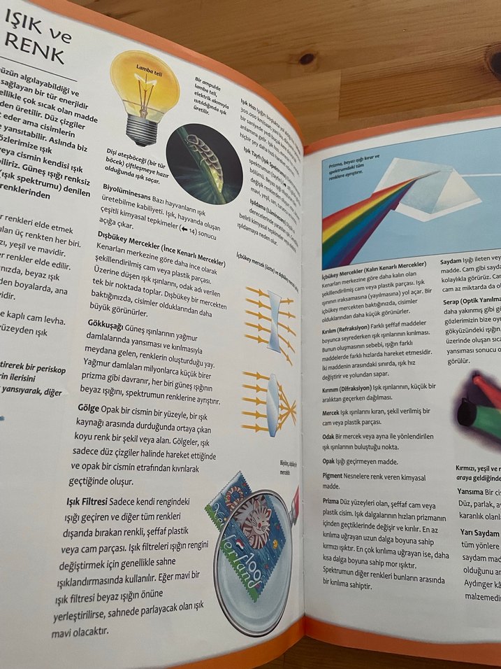 Resimli Bilim Sözlüğü Temel Kavramlar - Görsel 2