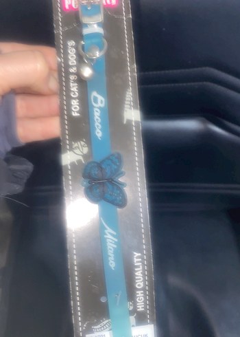 Mavi kedi tasması - Görsel 2