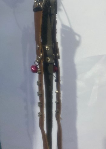 Kedi tasması - Görsel 2