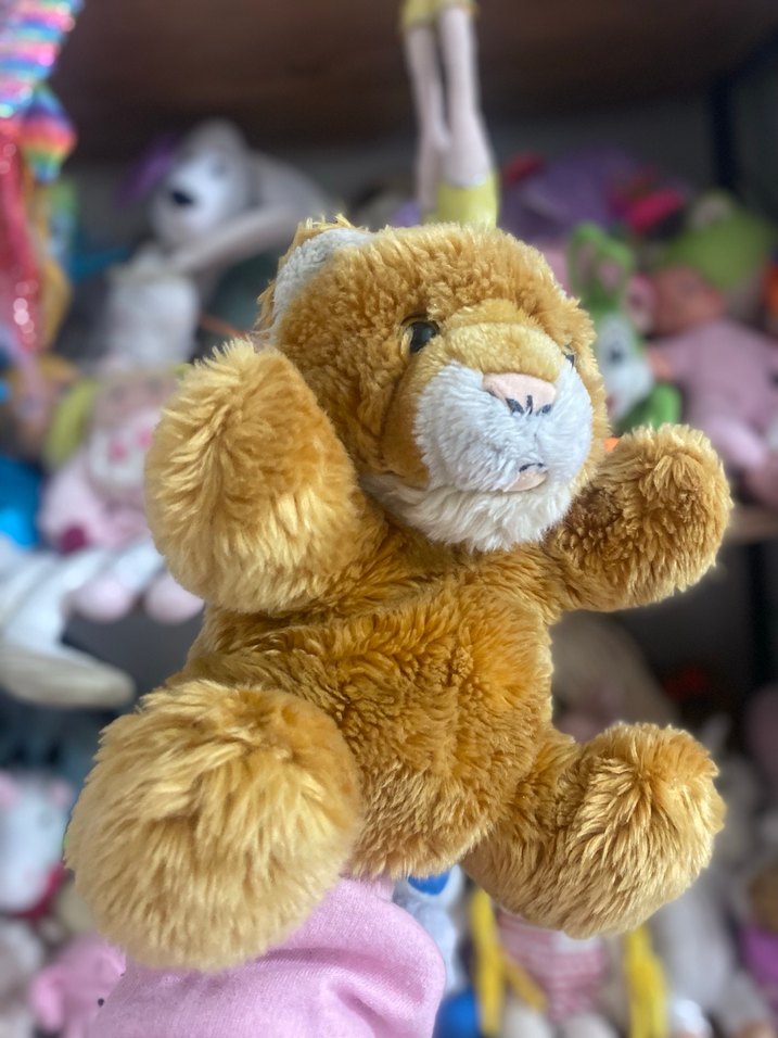 Sesli el kuklası - Görsel 2