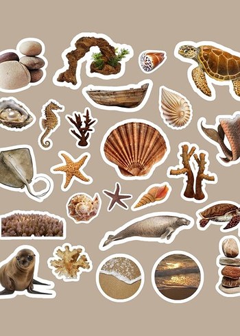 deniz temalı sticker set 3 sayfa - Görsel 2