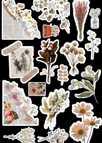 çiçek temalı sticker set - Görsel 4