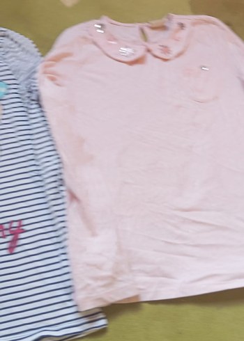 Çiçek İşlemeli Yakalı Pembe Uzun Kollu Tişört ikili fiyattır - Görsel 3