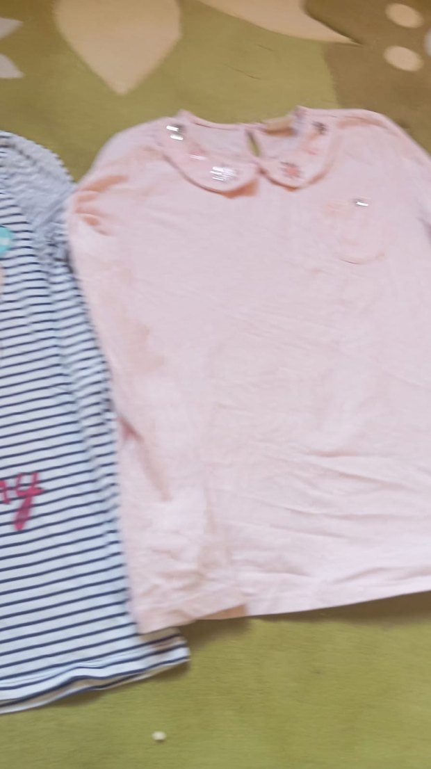 Çiçek İşlemeli Yakalı Pembe Uzun Kollu Tişört ikili fiyattır - Görsel 3