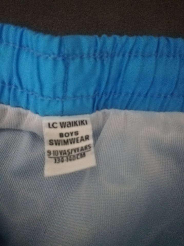 LCW Marka Erkek Çocuk Mavi Yüzme Şortu - Görsel 3