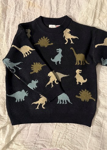 Çok Renkli Dinozor Desenli Erkek çocuk Triko Sweatshirt