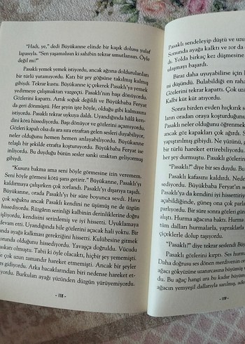 Beden Hayal Kurmaya Cesaret Eden Köpek - Sun-Mi Hwang