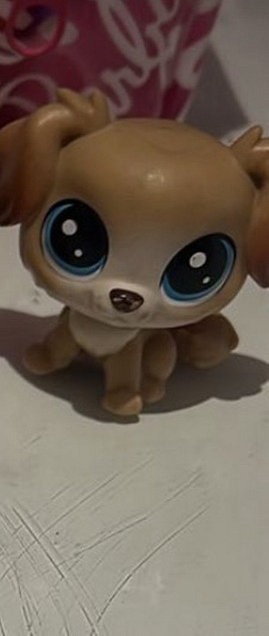 İkili miniş - Görsel 2