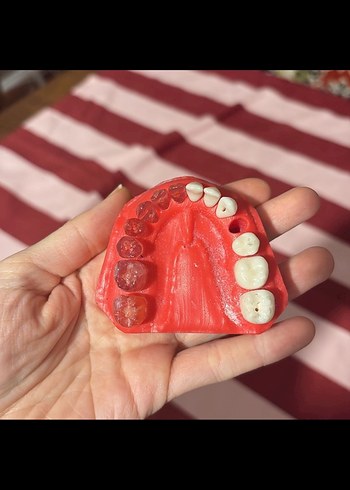 Beden Renk Ancorax endodontik çene seti