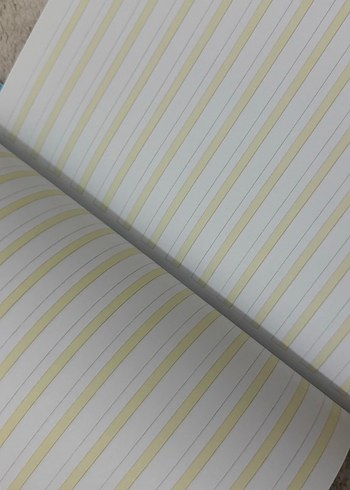 Güzel yazı defteri - Görsel 5