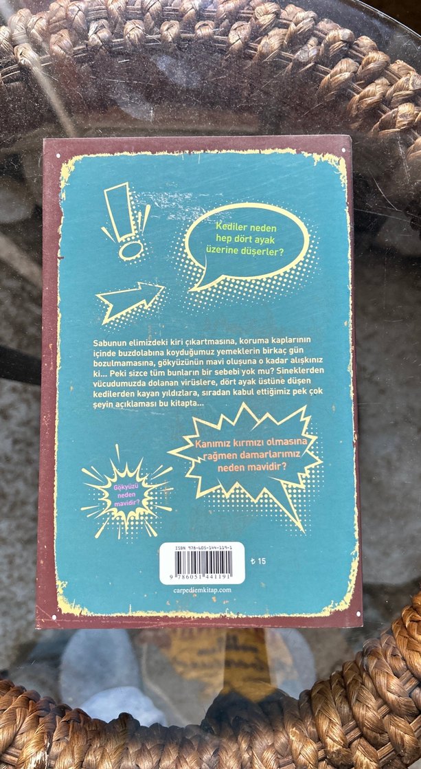 Bir Şey Sorabilir Miyim? - Deniz Dinçer - Görsel 2