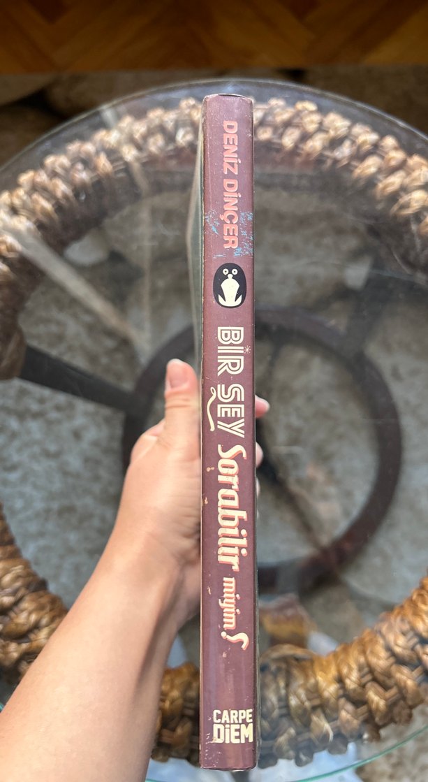 Bir Şey Sorabilir Miyim? - Deniz Dinçer - Görsel 3