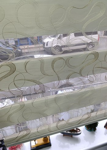 Nakışlı zebra - Görsel 5