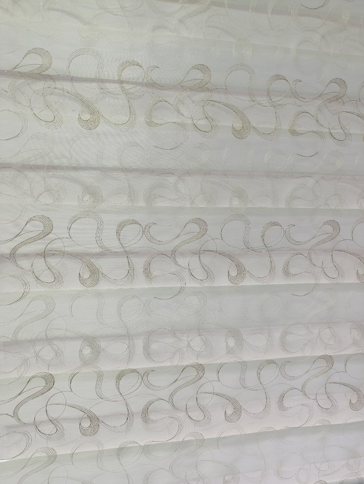 Nakışlı zebra - Görsel 4