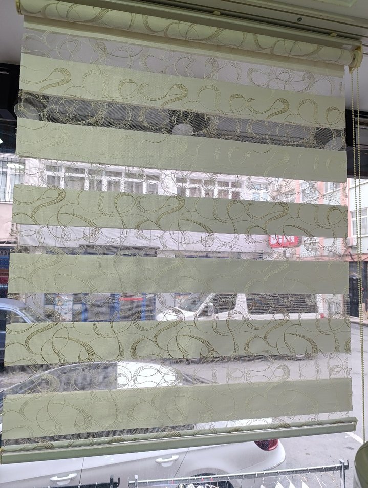 Nakışlı zebra - Görsel 2