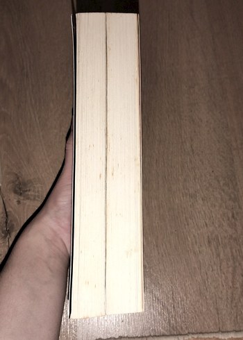 Beden Renk Eğer Yaşarsam Koleksiyonu - Gayle Forman