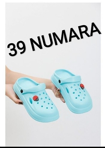 Crocs 39
